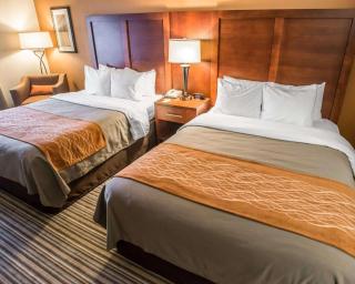 Comfort Inn at the Park - Hershey - 3