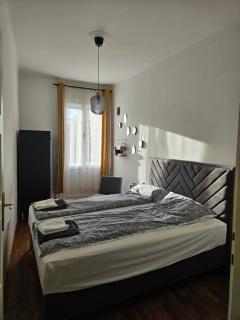 Apartmani Novi Sad SV23 - Novi Sad - 8