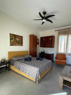Belvedere 3 - Studio - Drama - 7