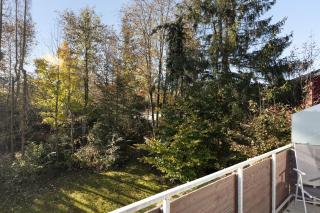 Fewo Harzwichtel am Waldesrand - Braunlage - 8