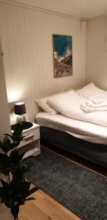 Moderne leilighet nær sentrum - 1