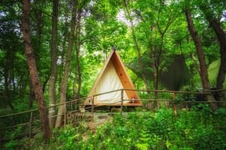 泊心域牧星营地 -  - 9