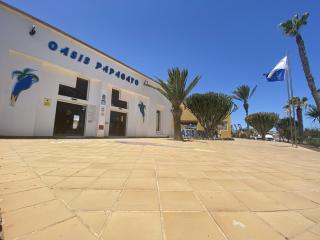Casa Papagayo - Corralejo - 8