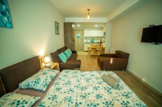 Bakuriani Plaza A208 - 9