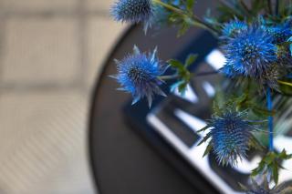 2BR API 1000 Community View Jumeirah - 7