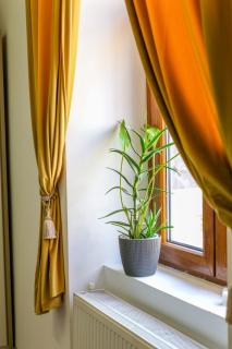 Old Town Relaxing&Cozy Apartment - Timişoara - 8
