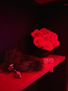 Love room in Paris - París - 4