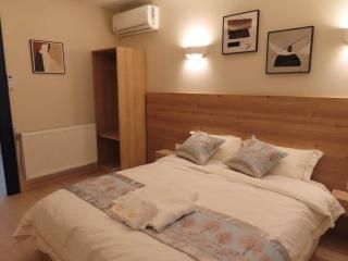 Chambre avec grand lit et salle de bain privative pour 2 personnes - Bondy - 9
