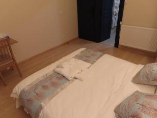 Chambre avec grand lit et salle de bain privative pour 2 personnes - Bondy - 7