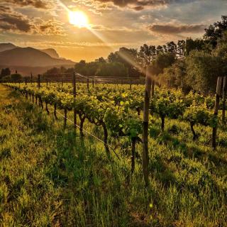 Cabernet Cottage Be Still and Know - 4