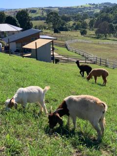 Farm Stay beautiful country home - - 0