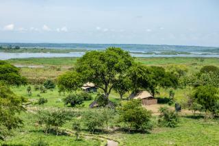 Murchison Palace - 5