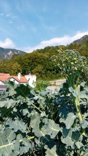 Waldschlössl Schneedörfl - Reichenau - 8