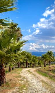 Casa Ruris - Country residence - Briatico - 2
