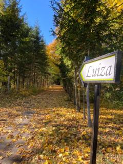 Królowa Luiza i Wiking - Stare Jabłonki - 9