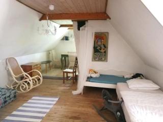 Gemütliches Reetdachhaus mit Kaminofen - Ribe - 1