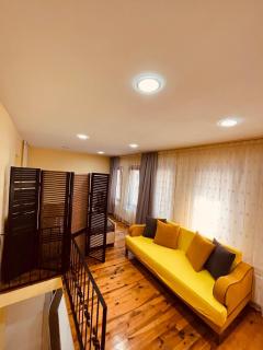 Dublex flat in taksim - Istanbul - 9