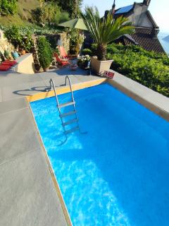 Romantic Wellness Lake View Retreat- Whirlpool Hammam Spa e Piscina panoramica - Maccagno Superiore - 9