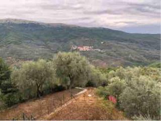 Casa di Elena - Ville San Pietro - 2