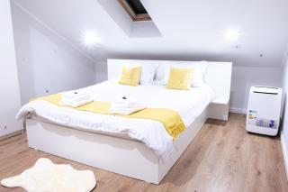 Apartament Neva 1 - Satu Mare - 4
