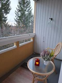Tunnelmallinen retroyksiö - Rovaniemi - 3