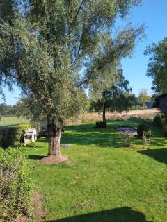 Spacious family house in Haut-Fays, 250 m² with garden -  - 4