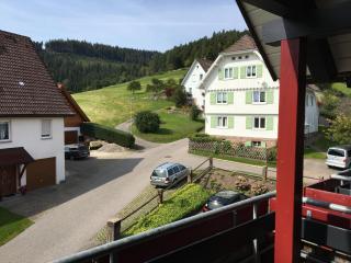 Ferienanlage Freyenhöfe - Baiersbronn - 3