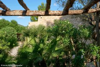 Can Colmena - 3