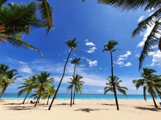 Palms B104 - 2-BR App mit Pool-Blick & Shuttle - Punta Cana - 7