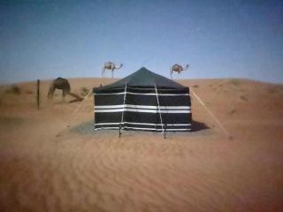 Desert Heart Camp - Bidiyah - 9