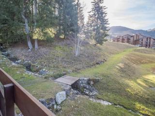 Studio 27m² avec balcon, animaux acceptés, proche remontées - FR-1-356-257 - 7