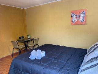 Habitacion Doble Abedul - Curicó - 3