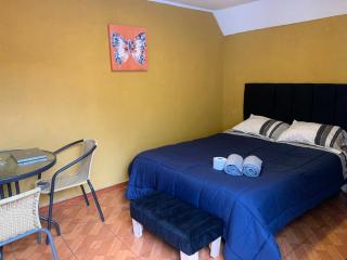 Habitacion Doble Abedul - Curicó - 1