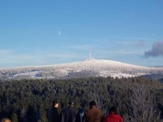 Ferienwohnung Harz - 1