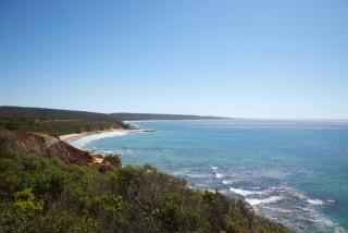 Eagle Rock - 400 meters to the beach - Aireys Inlet - 8