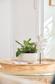 Beach Loft - on the Esplanade - Torquay - 8