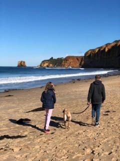 Aireys Bush Sanctuary - 0