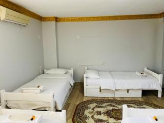 Stylish Hotel Old City - Istanbul - 3