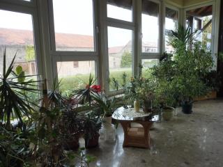 Nette Wohnung mit Garten, Grill und Pool - Radewege - 3
