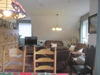 Appartement mit Grill und Garten - Malente - 4