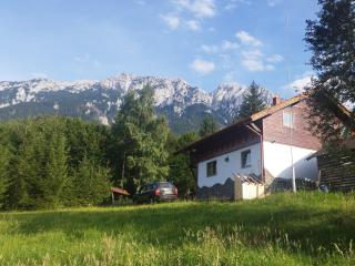 Cottage Piatra Craiului - Zărneşti - 9