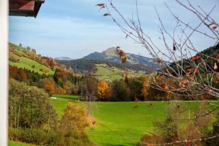 Blueberry Haus Im Moos - Oberau - 8
