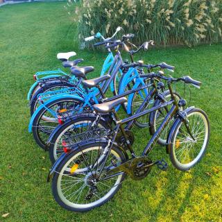 Przystań Nad Miążką - 9