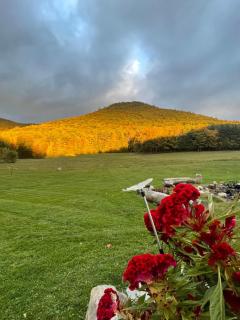 Hidden Valley Farm - Wells - 2