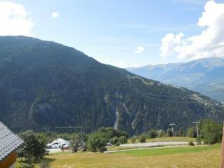 Paradiski proche des pistes plan peisey - Peisey-Nancroix - 3