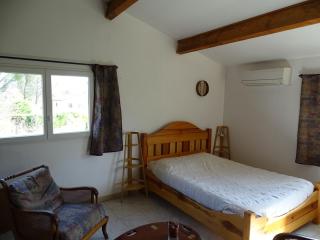 chambre d'hôtes indépendante avec kitchenette - Saint-Victor-de-Malcap - 1