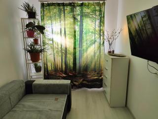 HANA Apartament - Târgu Mureș - 9