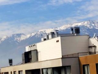 Bugambilia - Santiago - 5