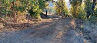 Benlamond Guest Farm - Fouriesburg - 3