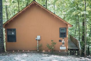 Awe-Inspiring Views - Fireplace - Patio and King Bed - Blairsville - 5